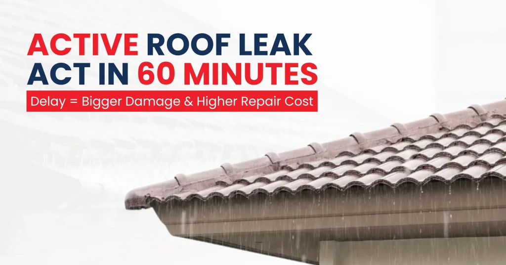 Active Roof Leak? Here’s What to Do in the Next 60 Minutes