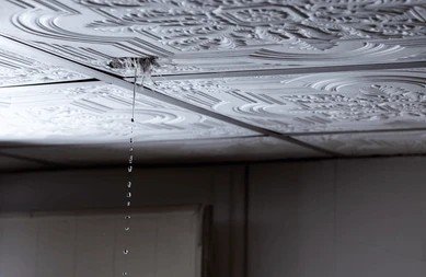 Water dripping from a damaged indoor ceiling tile caused by an active roof leak.