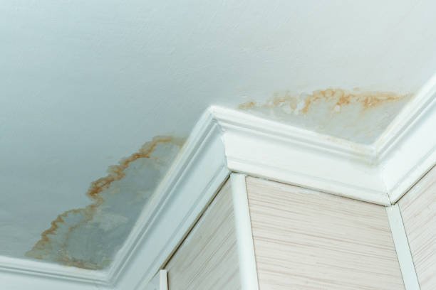 Yellowish-brown ceiling water stain along crown molding caused by a roof leak.