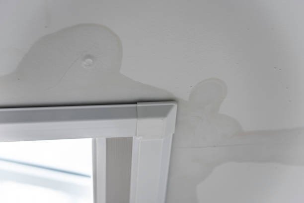 Interior ceiling showing a spreading water stain and bubbled paint, revealing an undetected roof leak above.