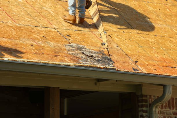 Exposed roof decking revealing deep dark staining and rot near the gutter edge, demonstrating hidden water damage beneath the shingles.